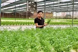 Chàng trai bỏ phố về quê trồng rau, doanh thu gần 20 tỷ/năm, cung ứng cho loạt siêu thị lớn như Co.opmart, VinMart, Aeon