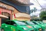 Ngân hàng siết nợ 5 chiếc xe của Taxi Mai Linh