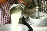 Đột kích một căn nhà, công an triệt phá đường dây sản xuất sữa giả từ hóa chất, tịch thu bột mì, sorbitol và máy pha trộn công nghiệp