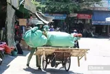 Người lao động oằn mình mưu sinh giữa “chảo lửa” miền Trung