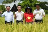 Vượt nửa vòng Trái đất đến Cuba: Kỹ sư Việt bắt tay làm ngay 1 việc, kỳ tích xuất hiện vào tháng 5/2026