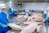 Việt Nam đón tin vui mới từ Nga
