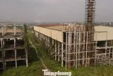 Tận thấy nhà máy Ethanol Phú Thọ 'đắp chiếu' suốt 17 năm