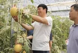 Phát minh của Trung Quốc gây sốc ngành rau quả: Tạo ra ‘dưa hấu vũ trụ’ có hương vị sữa, chocolate, thu về hơn 30.000 đơn đặt hàng