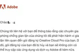 Người dùng Việt dùng Adobe bản quyền vẫn bị khoá tài khoản