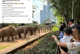 Thảo Cầm Viên Sài Gòn cảnh báo