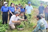 Một năm vận hành chính quyền hai cấp: Sự chuyển mình mạnh mẽ ở xã vùng cao Quảng Ngãi