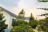 Nam nghệ sĩ Việt sở hữu nhà vườn rộng 1.000m²: Nhìn đâu cũng thấy hoa, góc nào cũng chill như tranh vẽ