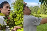 Nửa sau cuộc đời của NSƯT Hoài Linh