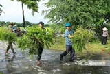 Người dân xã Thư Lâm phấn khởi hưởng ứng chiến dịch vì Thư Lâm phát triển
