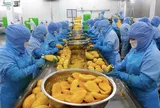 Cổ phiếu ANT biến động mạnh, Antesco chính thức lên tiếng