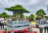 Trriển lãm cây cảnh ở Quảng Ngãi hút khách, một gốc "Thạch nham cổ mộc" được định giá 6,5 tỷ đồng