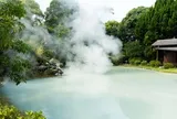 Việt Nam có 'chảo nước nóng' tự nhiên hơn 80°C, luộc chín cả trứng: đầu tư 1.300 tỷ đồng vào khu vực rộng 42 ha, phát triển mô hình giống Nhật Bản