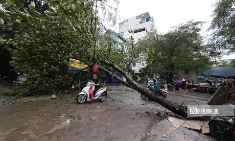 Doanh nghiệp lữ hành hủy hàng loạt tour du lịch để tránh siêu bão