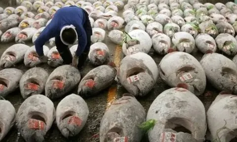 Không phải sầu riêng, một ‘siêu thực phẩm’ của Việt Nam được Mỹ và châu Âu cực ưa chuộng: Thu về 924 triệu USD, nước ta xuất khẩu đứng top thế giới