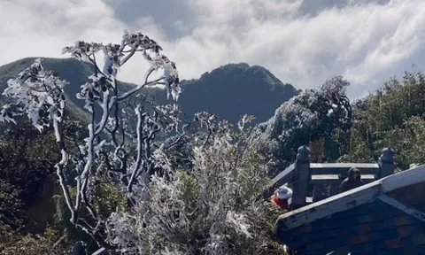 Không khí lạnh vẫn bao trùm miền Bắc, sương mù dày đặc, nơi rét nhất dưới 9 độ C