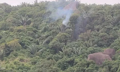 Rơi máy bay quân sự ở Đắk Lắk, phi công kịp thời nhảy dù thoát nạn