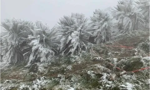 Miền Bắc liên tiếp đón không khí lạnh cực mạnh, trời rét đậm