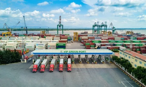 Tăng giá cước, Cảng xanh VIP lãi kỷ lục trong năm 2025