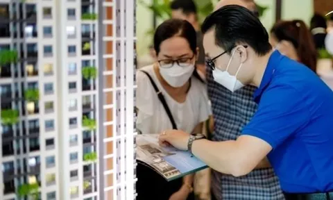 Hành vi liên quan đến bất động sản có thể sẽ bị xử lý hình sự, tất cả người dân chú ý