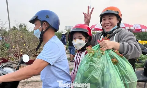 Giá rẻ khó tin: Hoa Tết chỉ 20.000 đồng/chậu ở TPHCM