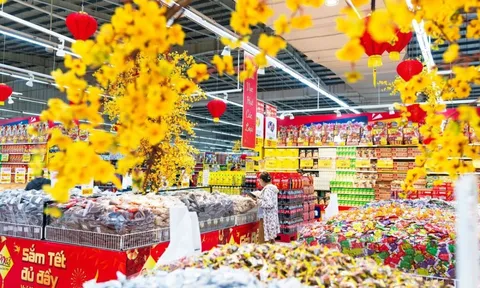 Thị trường hàng hóa bình thường trở lại, không có điểm nóng về giá