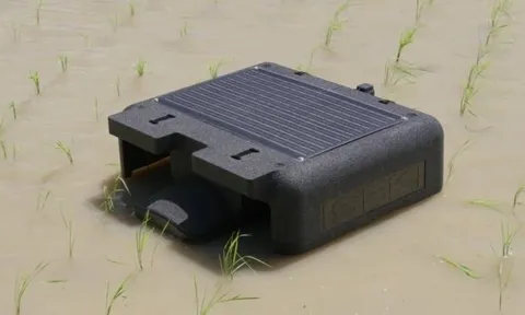 VN làm thành công dự án đầu tiên trên TG trong lĩnh vực nuôi sống một nửa nhân loại: Vừa áp dụng robot AI