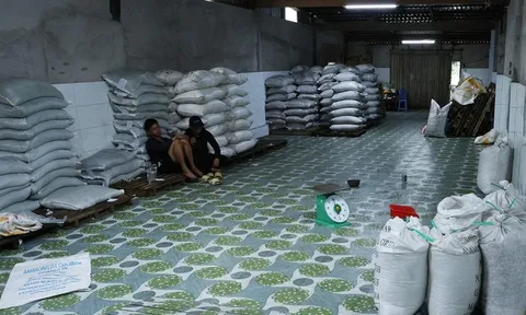 Kiểm tra cửa hàng vật tư nông nghiệp, thu giữ hàng chục tấn phân bón không phép