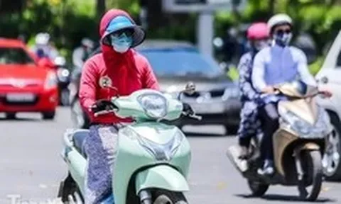 Miền Bắc trải qua mùa đông ấm thứ hai trong lịch sử