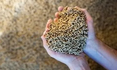 Căng thẳng Trung Đông: Trung Quốc gặp khó với một ngành công nghiệp đang dẫn đầu thế giới