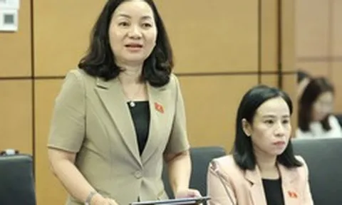 Đại biểu nêu bất cập khi dịch vụ công số "khai online vẫn phải nộp bản giấy"