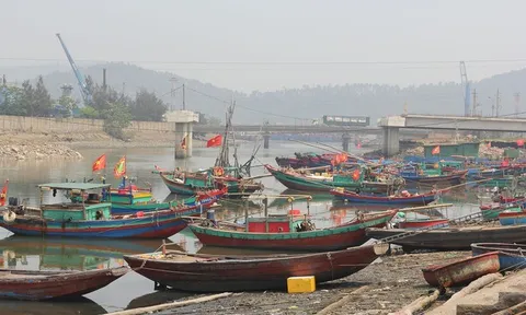 Ngư dân chật vật giữa mùa cá: Ra khơi lo lỗ, ở bờ lo đói