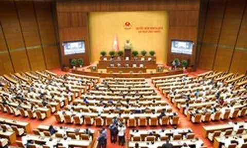 Tin vui: Xăng dầu chính thức được miễn nhiều loại thuế quan trọng đến hết 30/6