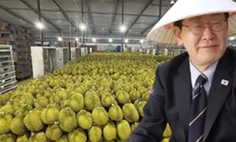 Loại quả của Việt Nam khiến Tổng thống Hàn Quốc ăn không ngừng, xuýt xoa khen ngon - Xuất khẩu sang xứ sở kim chi tăng khủng 300%
