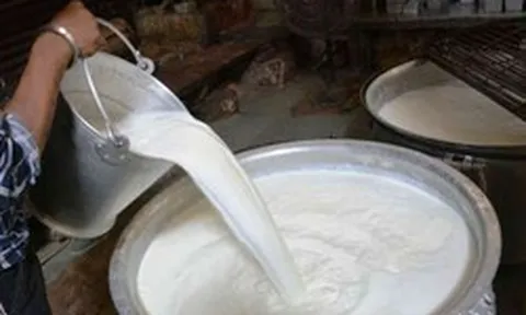 Đột kích một nhà máy, công an triệt phá đường dây sản xuất sữa giả, tịch thu hàng trăm lít hóa chất và máy trộn công nghiệp
