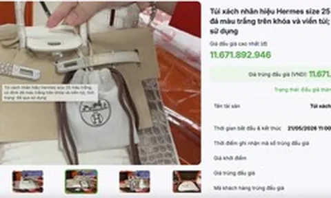 Đấu giá thành công 2 túi Hermès bạch tạng của Trương Mỹ Lan, thu hơn 14 tỷ đồng
