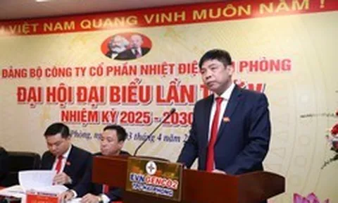 Thêm 1 lãnh đạo ngành điện bị khởi tố: TGĐ Nhiệt điện Hải Phòng