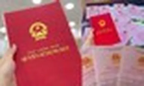 Năm 2026, những trường hợp sau sẽ bị thu hồi Sổ đỏ