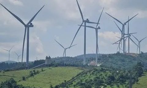 Thanh tra chỉ ra hàng loạt sai sót tại 14 dự án điện gió ở Quảng Trị