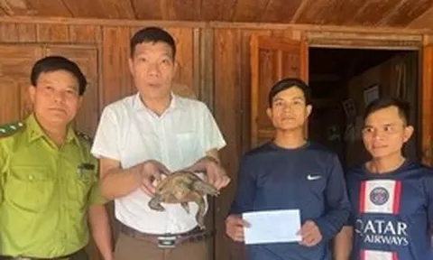 Phát hiện 'báu vật' trên đường vào rẫy