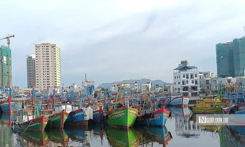 Ngư dân háo hức học làm du lịch cộng đồng, chờ ngày có nghề mới