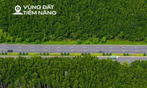 Toàn cảnh khu rừng rộng bằng 1/3 nội đô TP.HCM, ôm trọn siêu đô thị 10 tỷ USD của ông Phạm Nhật Vượng