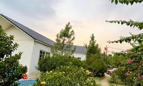 Nam nghệ sĩ Việt sở hữu nhà vườn rộng 1.000m²: Nhìn đâu cũng thấy hoa, góc nào cũng chill như tranh vẽ