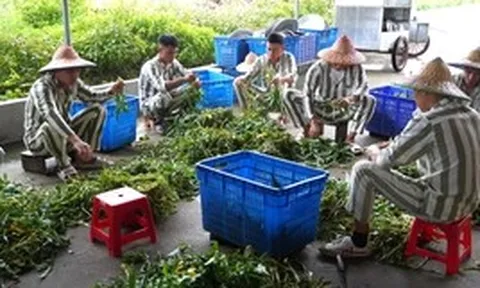 Từ hôm nay, mỗi tháng phạm nhân được gọi video về nhà 1 lần không quá 10 phút