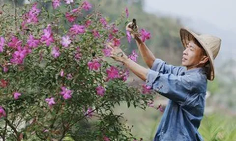 Nam NSƯT có giọng hát nội lực, trải qua đổ vỡ, U60 tận hưởng cuộc sống bình yên giữa núi đồi