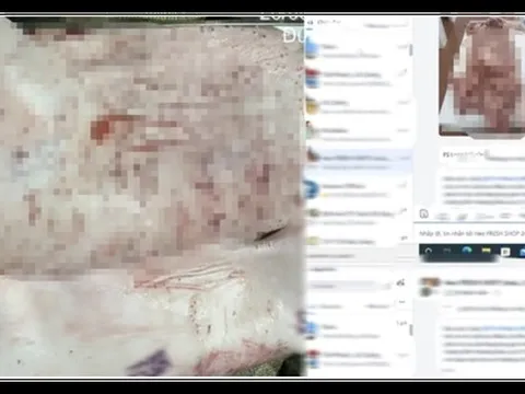 Nhìn lại diễn tiến vụ ông L.Q.N "tố" Công ty C.P. Việt Nam