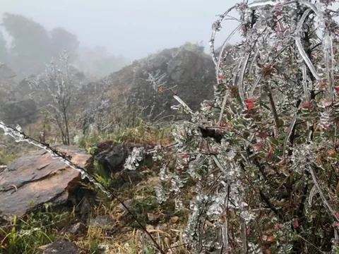 Dự báo thời tiết 26/1: Miền Bắc duy trì rét đậm, cuối tháng 1 thêm đợt không khí lạnh dồn dập tràn về