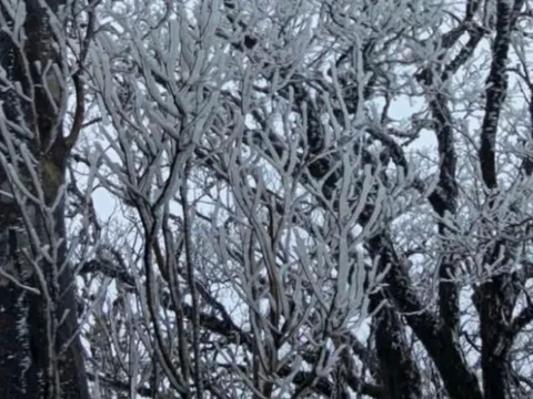 Dự báo thời tiết 27/1: Miền Bắc tiếp tục rét đậm, mưa phùn, vùng núi cao có khả năng xảy ra băng giá