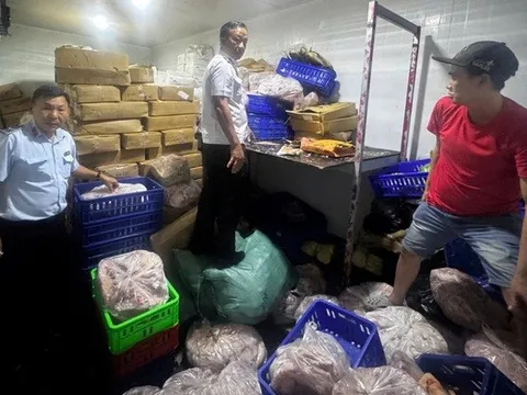TP.HCM, phát hiện hơn 700kg thịt cá biển, thịt heo, thịt vịt không rõ nguồn gốc chuẩn bị tiêu thụ