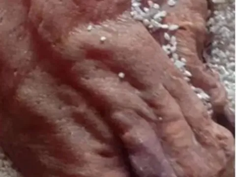 Mở thùng gạo phủ bụi, người đàn ông phát hiện vật thể khô bị lãng quên 50 năm, giá trị ngang căn biệt thự